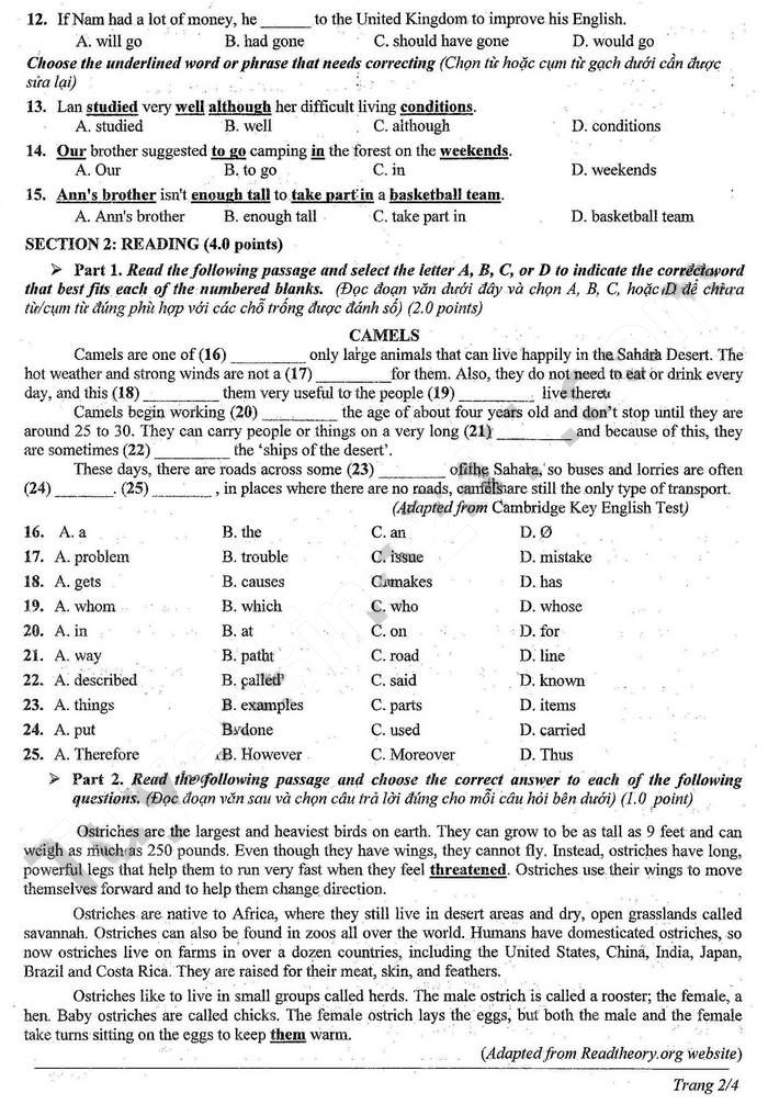 Đề thi vào lớp 10 môn tiếng Anh Ninh Thuận 2023