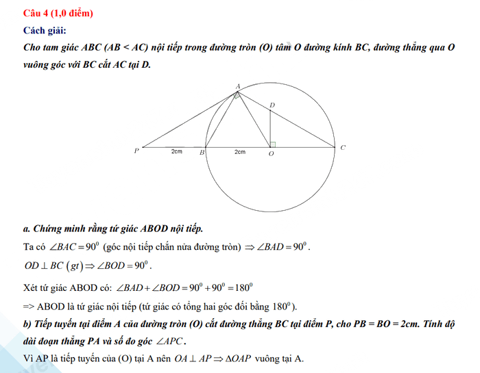 Đáp án đề thi vào 10 môn Toán An Giang 2023