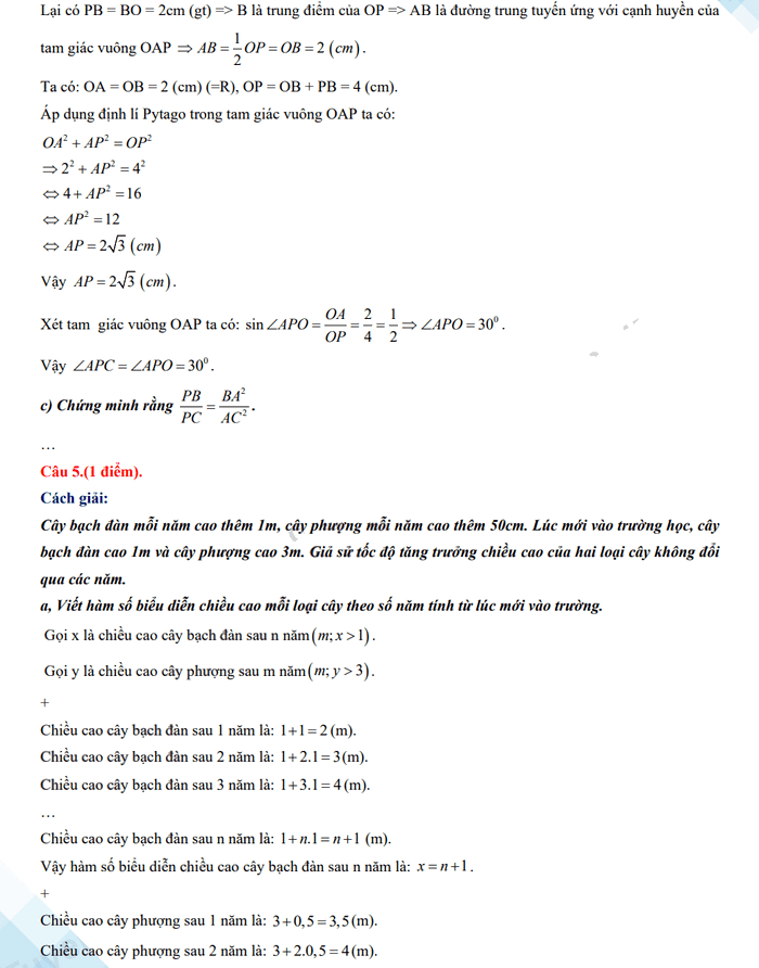 Đáp án đề thi vào 10 môn Toán An Giang 2023