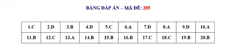 Đáp án đề thi vào 10 môn Toán chuyên Khoa học Xã hội và Nhân văn 2023