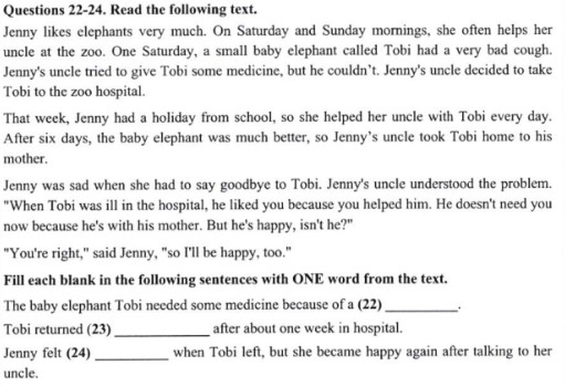 Đề thi Tiếng Anh vào lớp 6 Nguyễn Tất Thành 2023