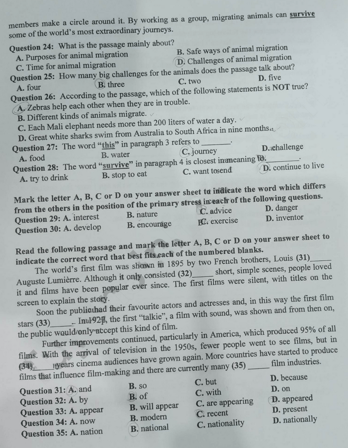 Đề thi tuyển sinh lớp 10 môn Anh Cần Thơ 2023
