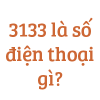 3133 là số điện thoại gì?