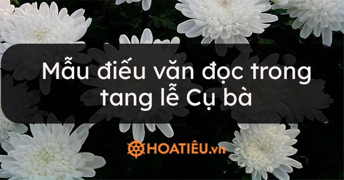Mẫu điếu văn đọc trong tang lễ cụ bà