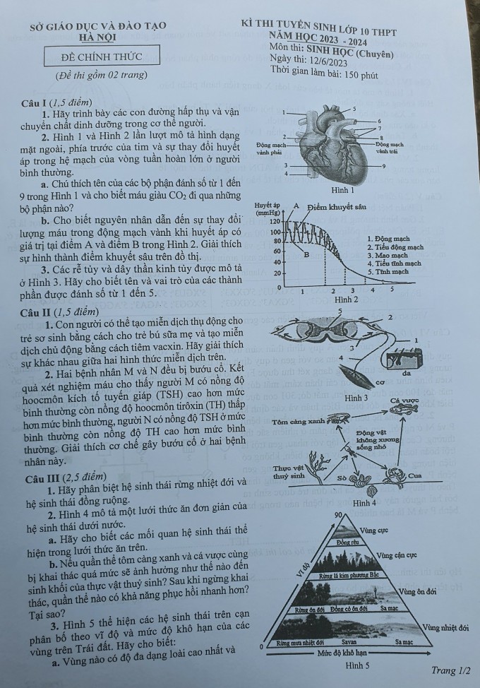 Đề thi chuyên Sinh vào lớp 10 Hà Nội 2023