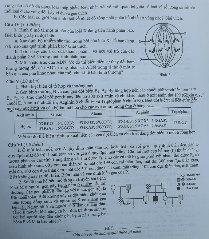 Đề thi chuyên Sinh vào lớp 10 Hà Nội 2023