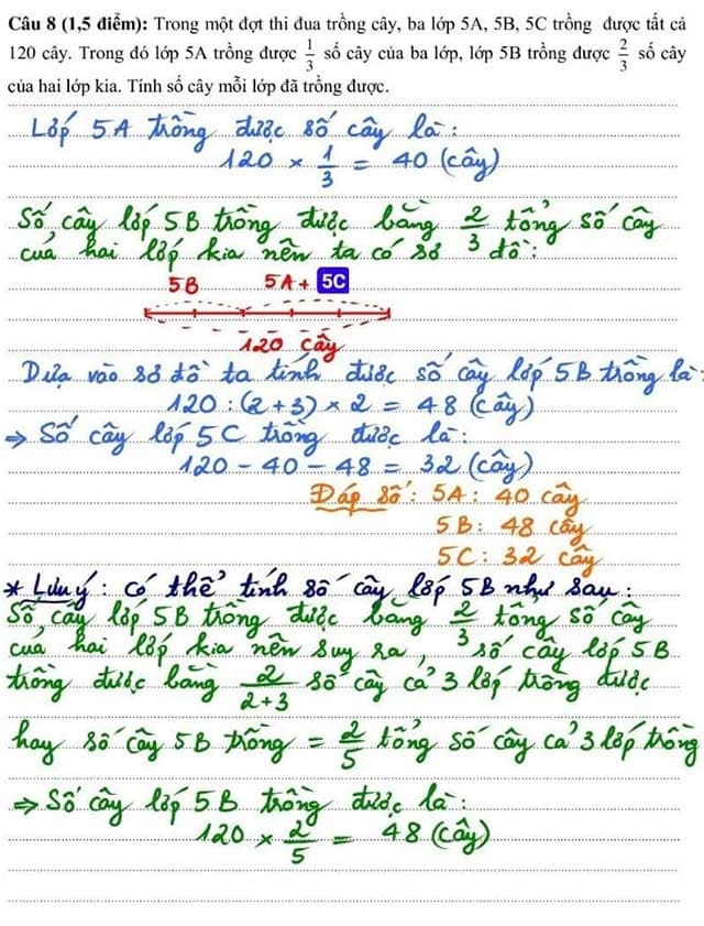 Đáp án đề thi vào lớp 6 trường Nobel School Thanh Hóa 2023