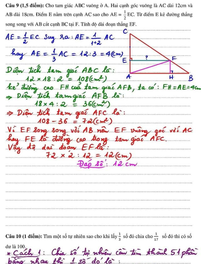 Đáp án đề thi vào lớp 6 trường Nobel School Thanh Hóa 2023