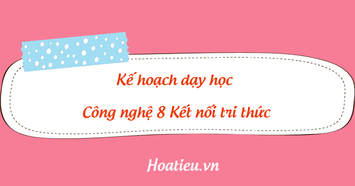 PPCT Công nghệ 8 sách Kết nối