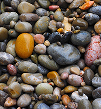 Đọc hiểu Những viên đá lẻ