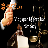 Ví dụ về quan hệ pháp luật năm 2024