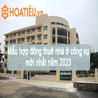 Mẫu hợp đồng thuê nhà ở công vụ 2024 chuẩn pháp lý