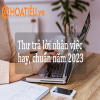 Thư trả lời nhận việc hay, chuẩn năm 2024