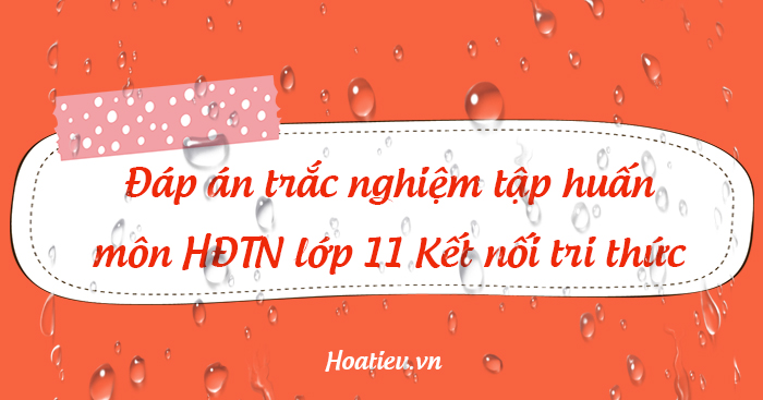 Đáp án tập huấn Hoạt động trải nghiệm hướng nghiệp 11 Kết nối tri thức
