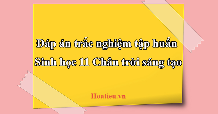 Đáp án câu hỏi tập huấn sách giáo khoa mới môn Sinh 11 CTST