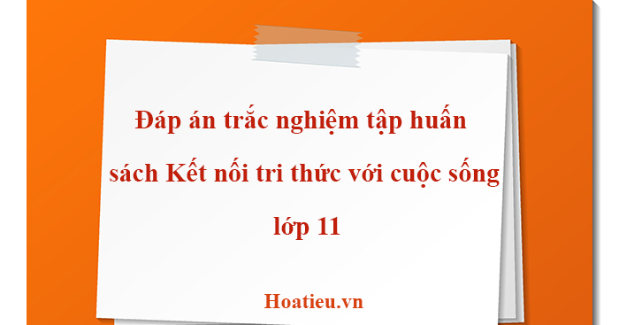 Đáp án trắc nghiệm tập huấn sách Kết nối tri thức với cuộc sống lớp 11