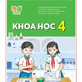 Giáo án Khoa học 4 sách Kết nối tri thức trọn bộ cả năm 2023-2024