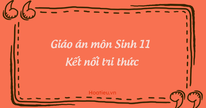 Giáo án môn Sinh 11 Kết nối tri thức với cuộc sống