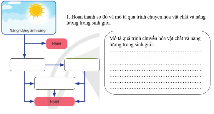 Giáo án Sinh 11 Cánh Diều file doc