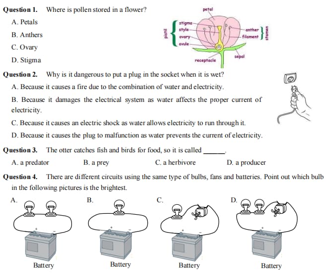 Đề thi vào lớp 6 Chuyên Trần Đại Nghĩa mã 647