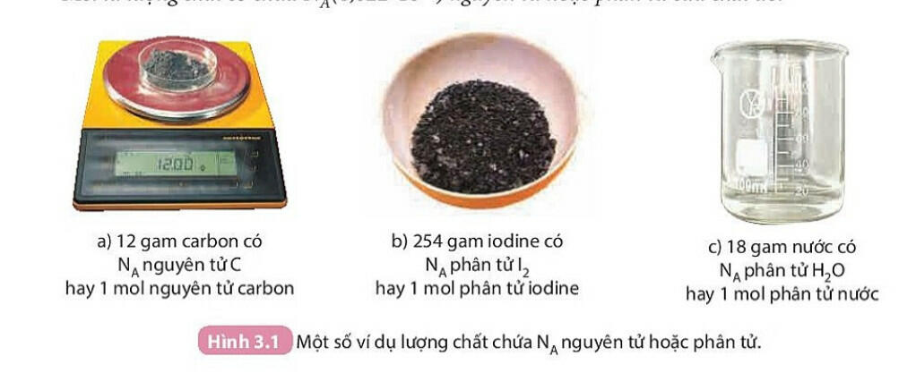 Tổng hợp kiến thức Khoa học tự nhiên lớp 8 KNTT