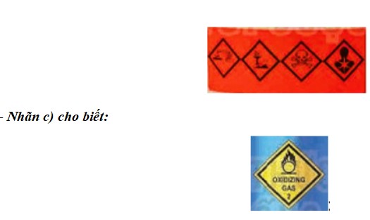 Giải Khoa học tự nhiên 8 Kết nối tri thức