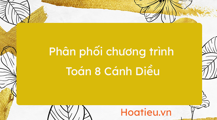 PPCT môn Toán 8 Cánh Diều
