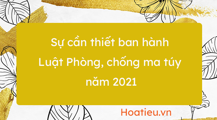 Sự cần thiết phải ban hành Luật Phòng, chống ma tuý năm 2021