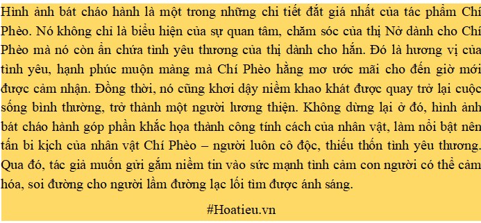 Đoạn văn suy nghĩ về chi tiết bát cháo hành của thị Nở