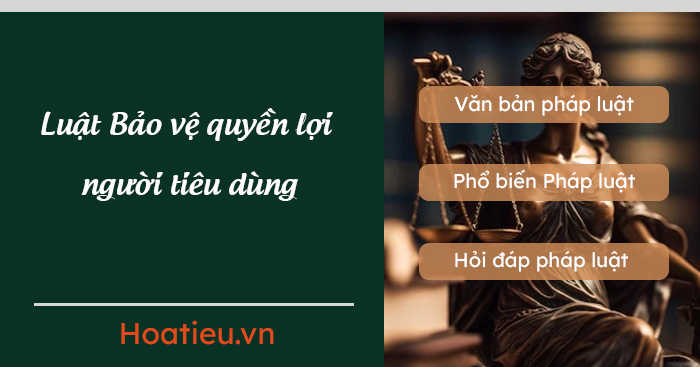 Nội dung Luật Bảo vệ quyền lợi người tiêu dùng 2023