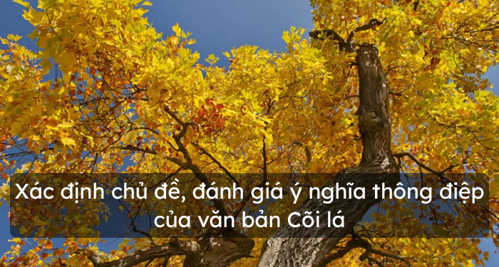 Chủ đề của văn bản cõi lá 