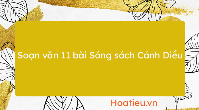 Soạn Ngữ văn 11 Cánh Diều tập 1 trang 13