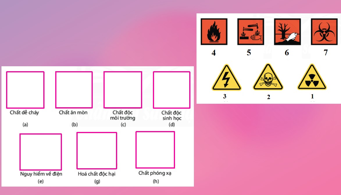 Bài giảng điện tử KHTN 8 Kết nối