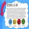 STEM là viết tắt của những từ nào?