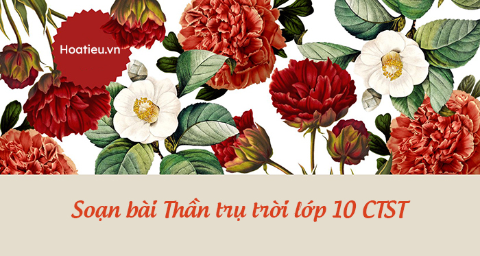 Soạn Thần Trụ trời văn 10 Chân trời sáng tạo