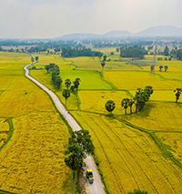 Soạn bài Nhớ đồng lớp 11 ngắn gọn dễ hiểu