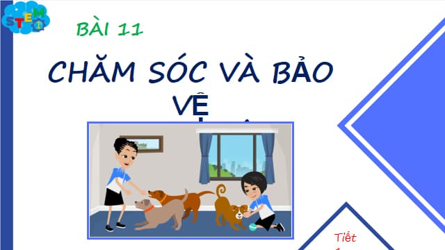 Giáo án PowerPoint STEM lớp 1
