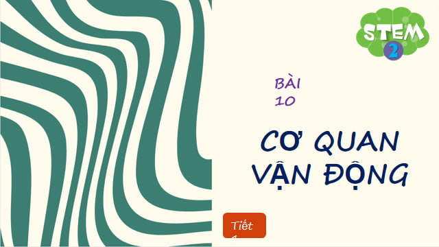 Giáo án PowerPoint STEM lớp 2