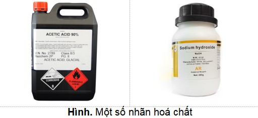 Trọn bộ lí thuyết Khoa học tự nhiên 8 sách mới