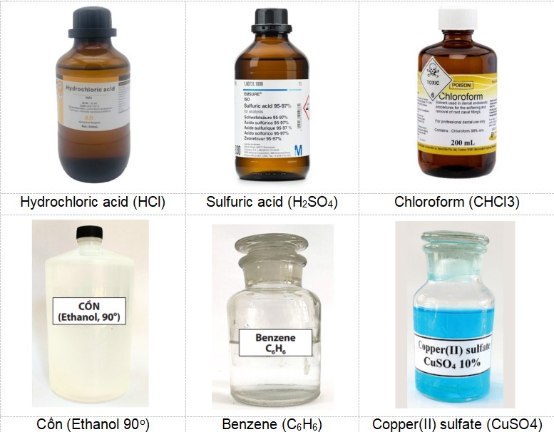 Trọn bộ lí thuyết Khoa học tự nhiên 8 sách mới