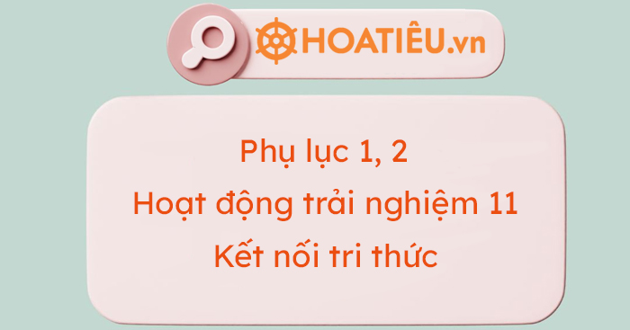 Phụ lục 1 Hoạt động trải nghiệm 11 KNTT