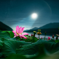 Chia sẻ về một thông điệp có ý nghĩa nhất mà em nhận được từ thiên nhiên