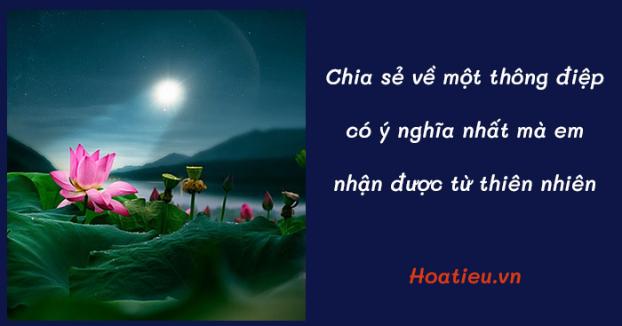 Đoạn văn về thông điệp có ý nghĩa nhất mà em nhận được từ thiên nhiên