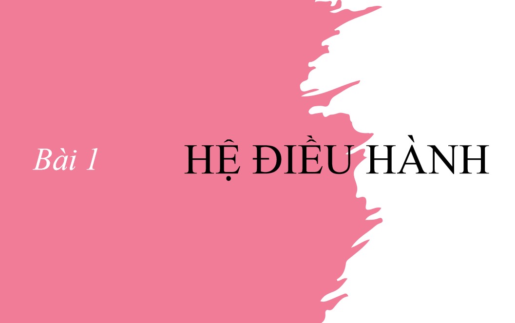 Giáo án PPt Tin học 11 KNTT bài 1