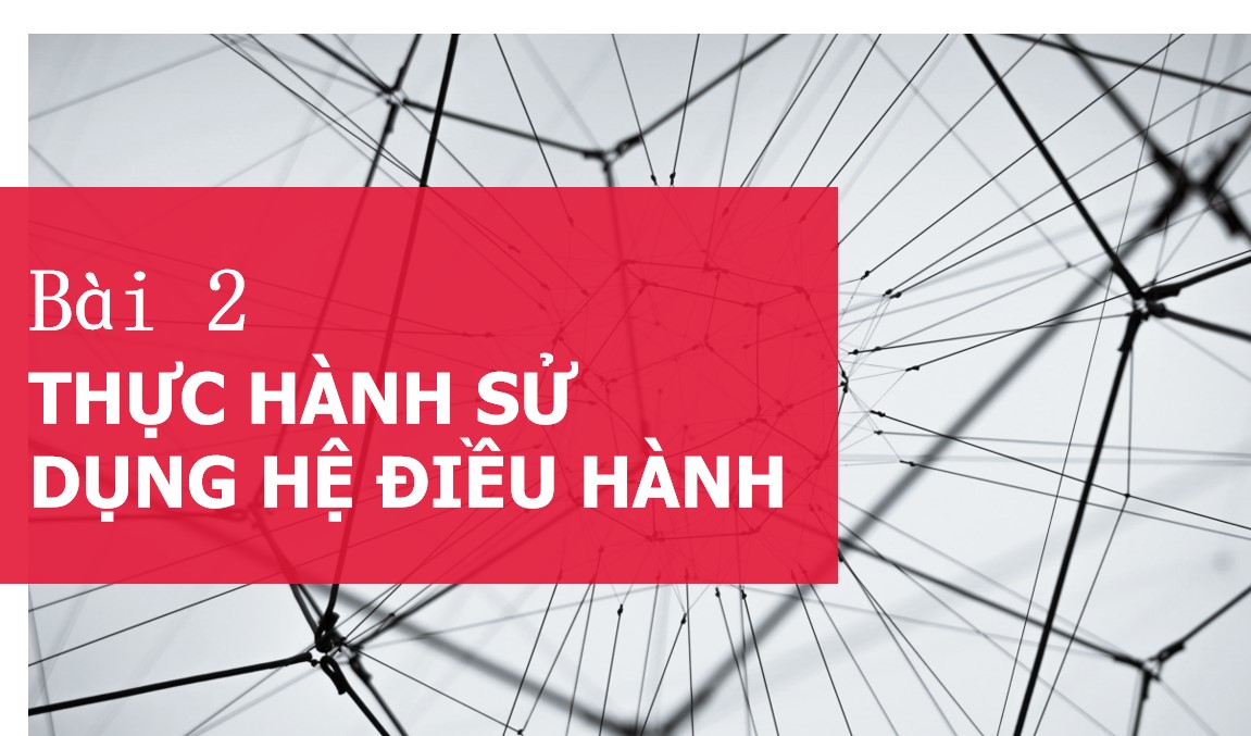 Giáo án PPt Tin học 11 KNTT bài 2