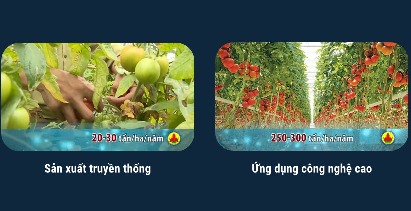 Giáo án PPt Công nghệ 10 KNTT bài 1