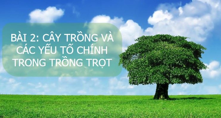 Giáo án PPt Công nghệ 10 KNTT bài 2