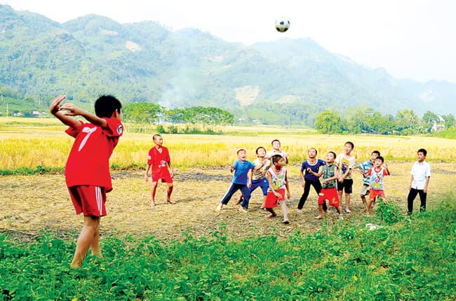 Viết 2-3 câu về những ngày hè của em