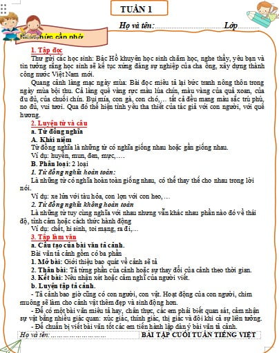 Bài tập cuối tuần Tiếng Việt lớp 5 có đáp án