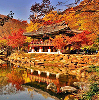 Soạn bài Sang thu lớp 7 ngắn nhất